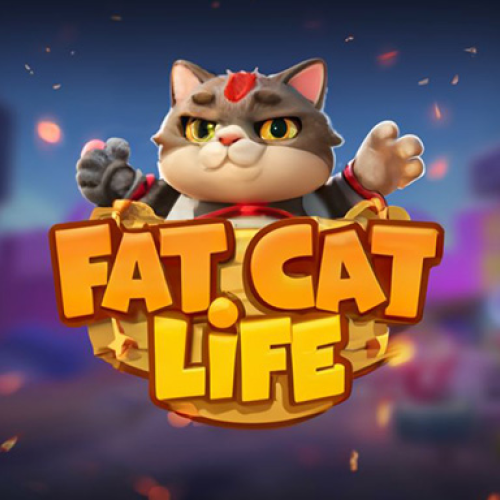 Fat Cat Life