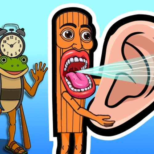 Italian animals with voice acting