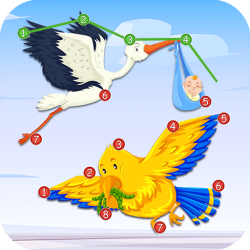 Connect the Dots Plus