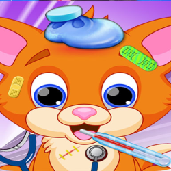 Little Sweet Cat Doctor