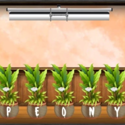 Amgel Kids Room Escape 89