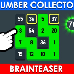 Number Collector: Brainteaser