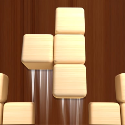 Woodoku Block Puzzle