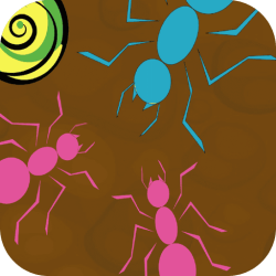 Ant Maze