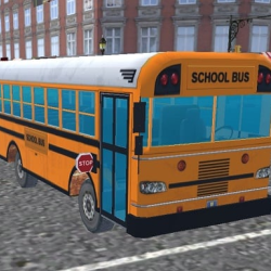 Bus School Park Driver