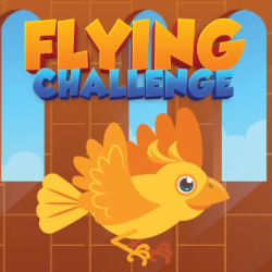 Flying Challenge
